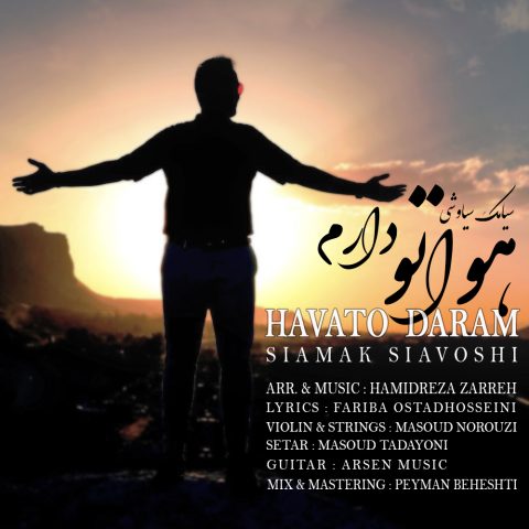دانلود آهنگ سیامک سیاوشی هواتو دارم